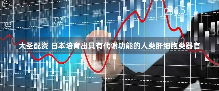 大圣配资 日本培育出具有代谢功能的人类肝细胞类器官
