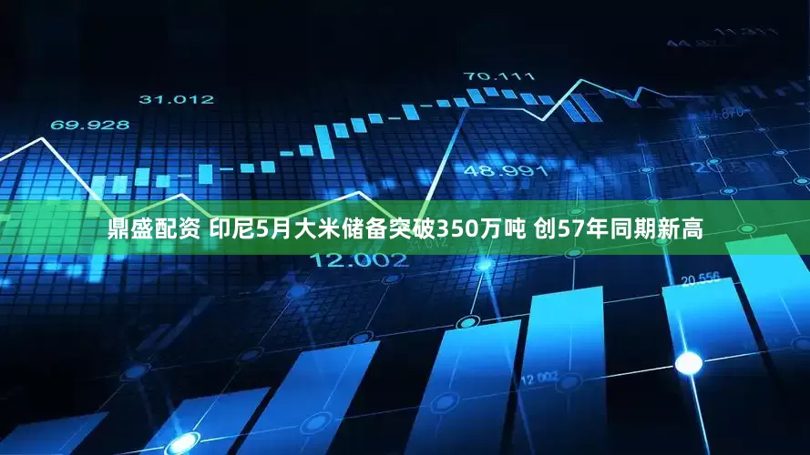 鼎盛配资 印尼5月大米储备突破350万吨 创57年同期新高