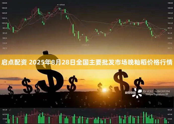 启点配资 2025年8月28日全国主要批发市场晚籼稻价格行情