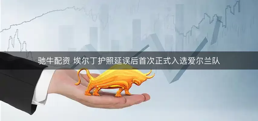 驰牛配资 埃尔丁护照延误后首次正式入选爱尔兰队